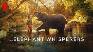 “The Elephant Whisperers” has scripted history by winning the Oscar award in the Best Documentary Short Film category.